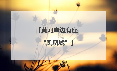 黄河岸边有座“凤凰城”