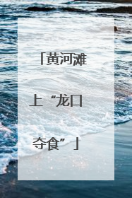 黄河滩上“龙口夺食”
