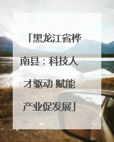 黑龙江省桦南县：科技人才驱动 赋能产业促发展