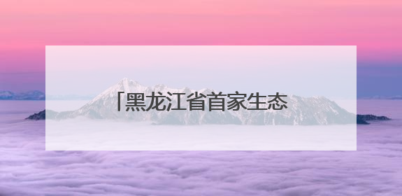 黑龙江省首家生态环境保护志愿服务试点在伊春揭牌