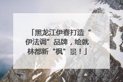 黑龙江伊春打造“伊法调”品牌，绘就林都新“枫”景！