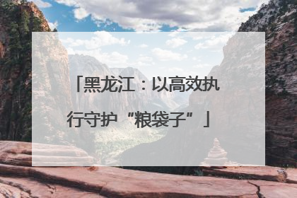 黑龙江：以高效执行守护“粮袋子”