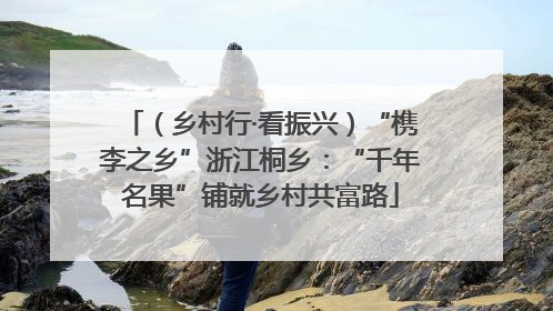 （乡村行·看振兴）“槜李之乡”浙江桐乡：“千年名果”铺就乡村共富路