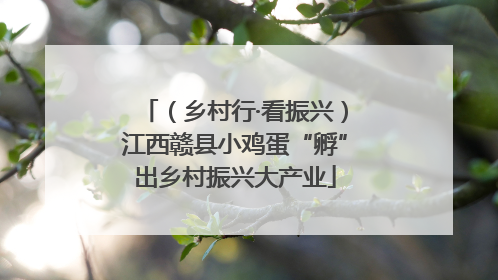 （乡村行·看振兴）江西赣县小鸡蛋“孵”出乡村振兴大产业