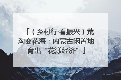（乡村行·看振兴）荒沟变花海：内蒙古闲置地育出“花漾经济”