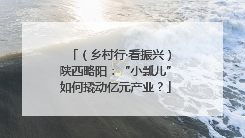 （乡村行·看振兴）陕西略阳：“小瓢儿”如何撬动亿元产业？
