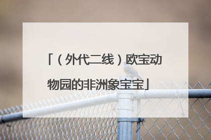 （外代二线）欧宝动物园的非洲象宝宝