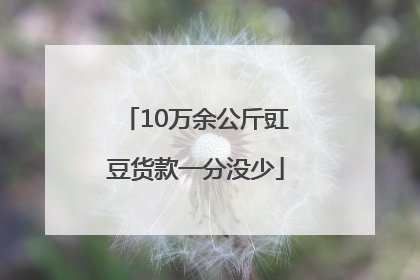 10万余公斤豇豆货款一分没少