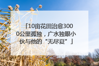10亩花田治愈3000公里孤独，广水独眼小伙与他的“无尽夏”