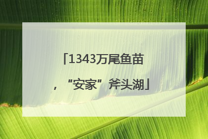 1343万尾鱼苗，“安家”斧头湖