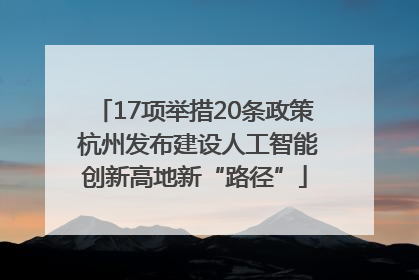 17项举措20条政策 杭州发布建设人工智能创新高地新“路径”