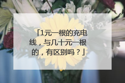 1元一根的充电线，与几十元一根的，有区别吗？