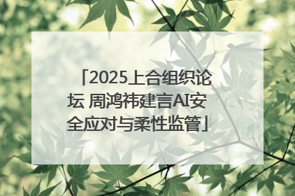 2025上合组织论坛 周鸿祎建言AI安全应对与柔性监管