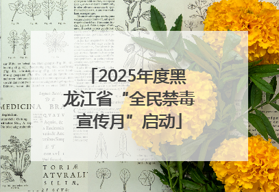 2025年度黑龙江省“全民禁毒宣传月”启动