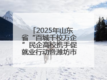 2025年山东省“百城千校万企”民企高校携手促就业行动暨潍坊市职教活动周启动