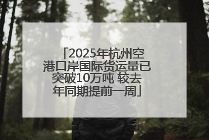2025年杭州空港口岸国际货运量已突破10万吨 较去年同期提前一周