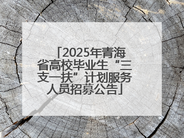 2025年青海省高校毕业生“三支一扶”计划服务人员招募公告