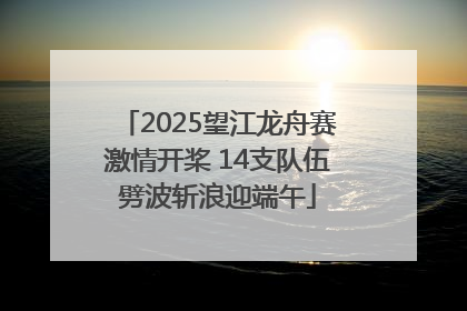 2025望江龙舟赛激情开桨 14支队伍劈波斩浪迎端午