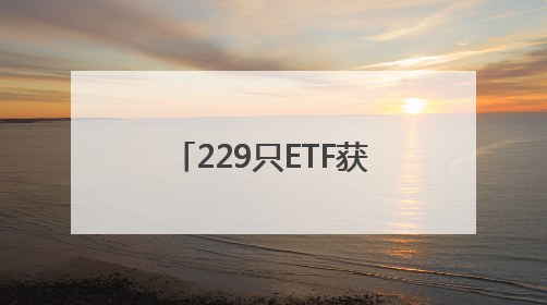 229只ETF获融资净买入 易方达中证香港证券投资主题ETF居首