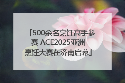500余名烹饪高手参赛 ACE2025亚洲烹饪大赛在济南启幕