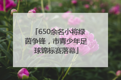 650余名小将绿茵争锋，市青少年足球锦标赛落幕