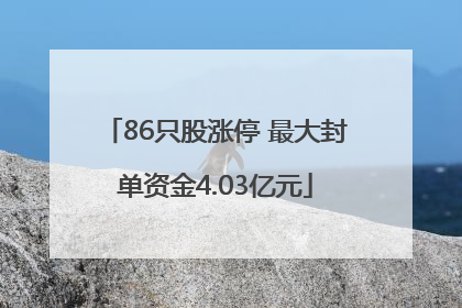 86只股涨停 最大封单资金4.03亿元