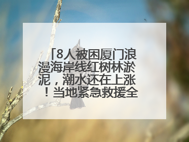 8人被困厦门浪漫海岸线红树林淤泥，潮水还在上涨！当地紧急救援全部脱困