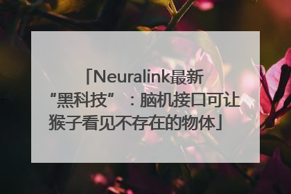 Neuralink最新“黑科技”：脑机接口可让猴子看见不存在的物体